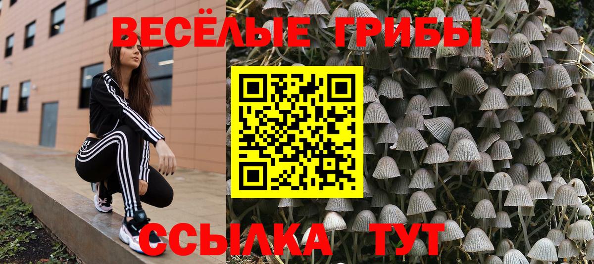 Галлюциногенные грибы MAGIC MUSHROOMS Советск