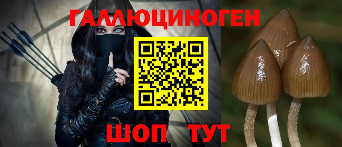 Псилоцибиновые грибы GOLDEN TEACHER  Вход с VPN  купить наркотик  Советск 